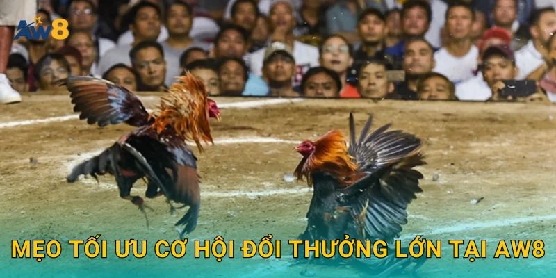 Mẹo tối ưu cơ hội đổi thưởng lớn tại Aw8