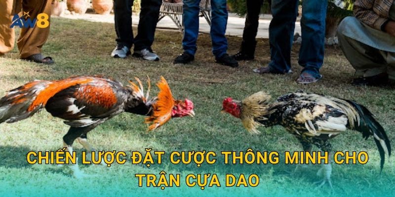 Đá gà cựa dao – Đỉnh cao tốc độ và chiến thuật tại Aw8 3 Chiến lược đặt cược thông minh cho trận cựa dao