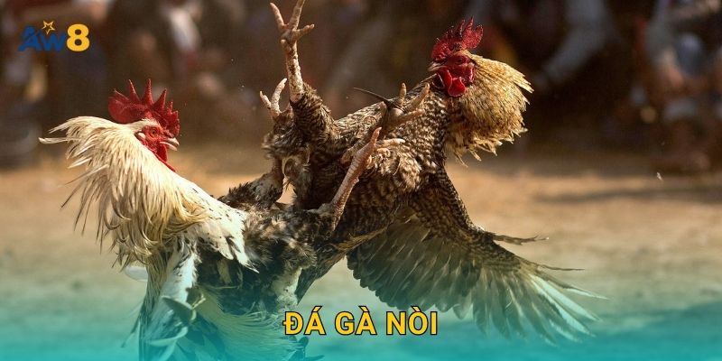 Đá gà nòi – Tinh hoa dân gian Việt được tái hiện tại Aw8 28 Đá gà nòi – Tinh hoa dân gian Việt được tái hiện tại Aw8