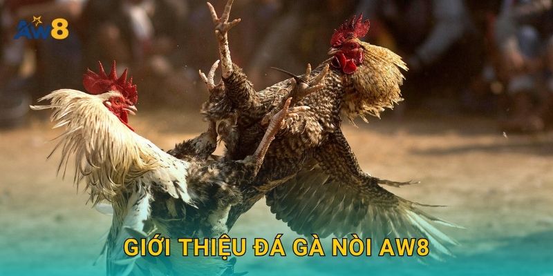 Giới thiệu Đá gà nòi Aw8